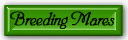 Breeding Mares